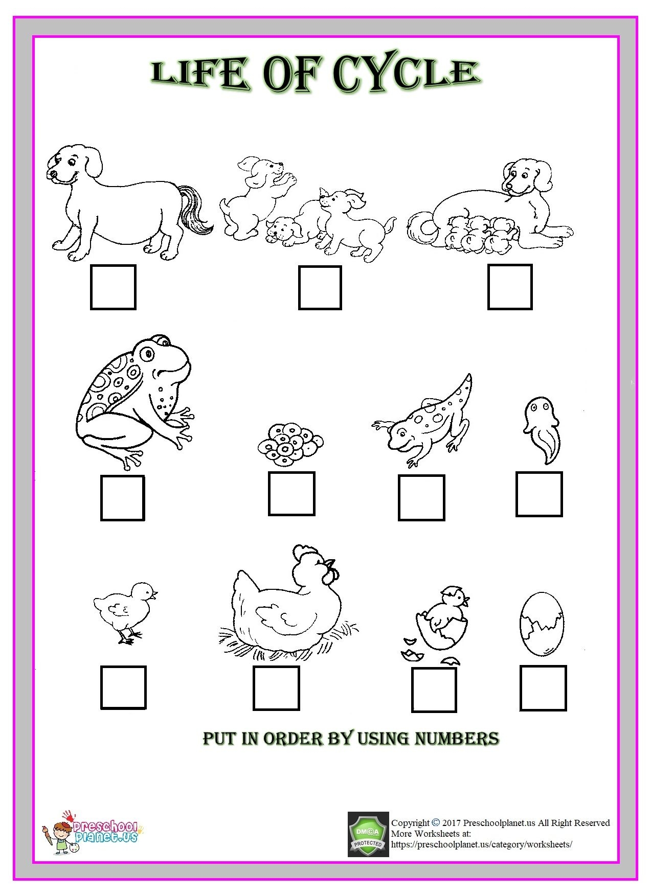 animal life cycle worksheets animal life cycle worksheets