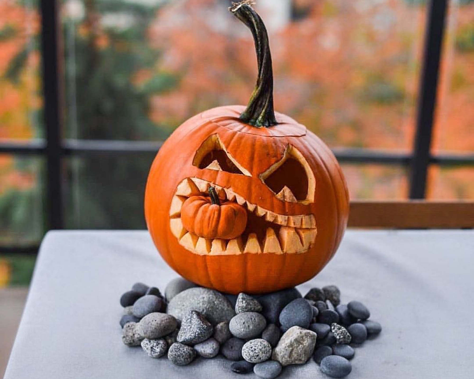 10 Pumpkin Carving Ideas Pretty And Peculiar Designs For Halloween Real Homes 10 Pumpkin Carving Ideas Pretty And Peculiar Designs For Halloween Real Homes
