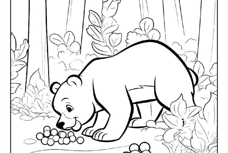Bear Coloring Book Page