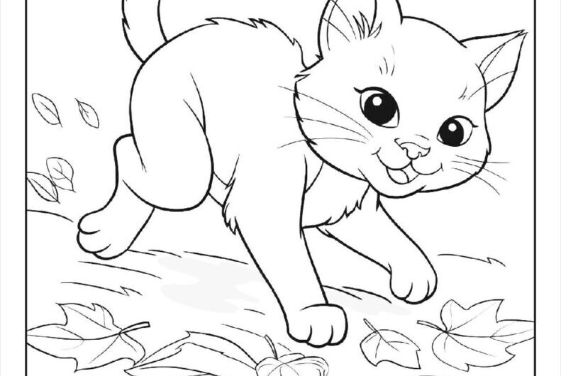 Kitten Cat Coloring Pages