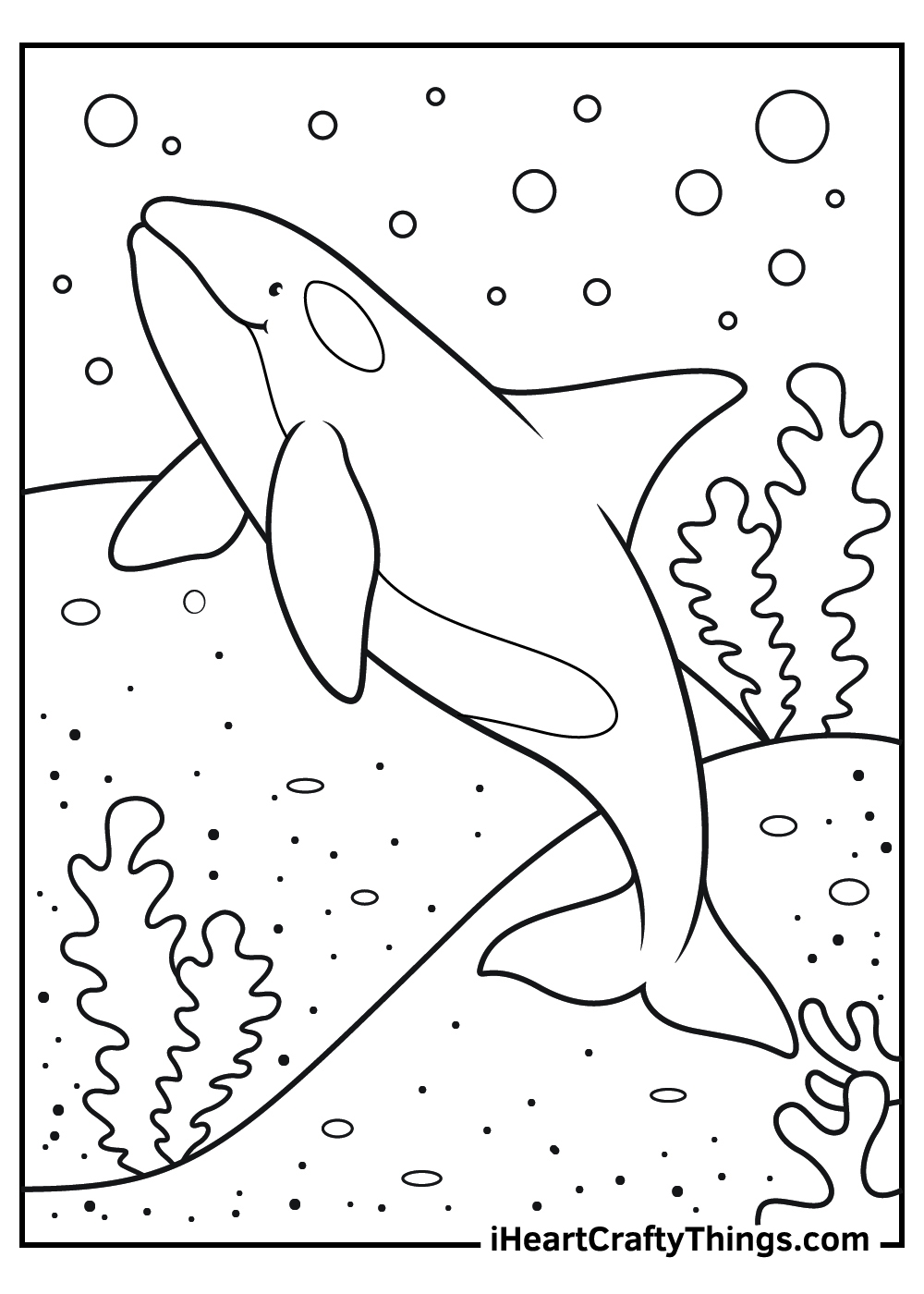 killer whale pictures to color killer whale pictures to color
