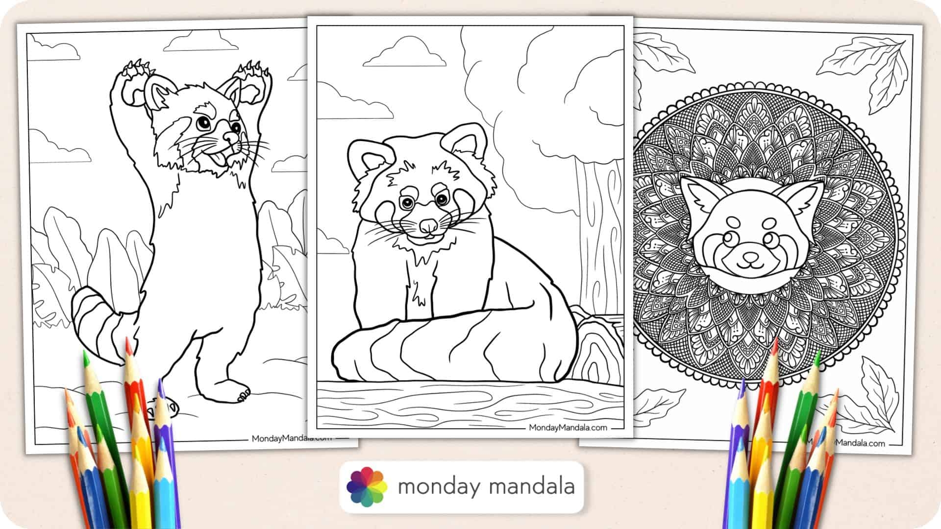 20 Red Panda Coloring Pages Free PDF Printables 20 Red Panda Coloring Pages Free PDF Printables