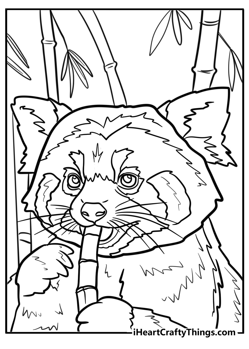 25 Red Panda Coloring Pages 100 Free To Print 25 Red Panda Coloring Pages 100 Free To Print