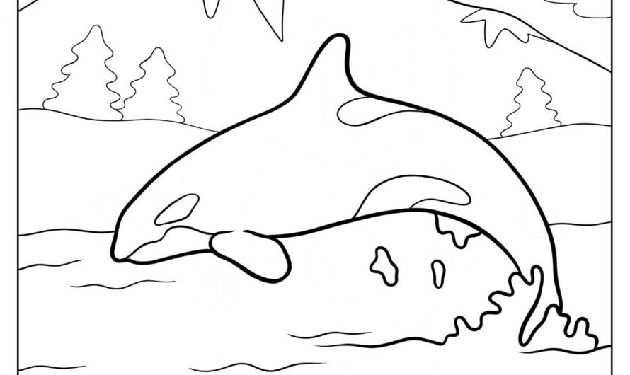 Killer Whale Coloring Page