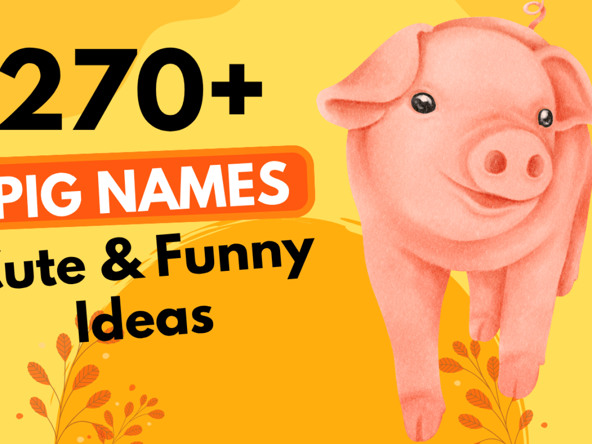 270 Cute Funny Pig Names For Your Pet 2025 270 Cute Funny Pig Names For Your Pet 2025