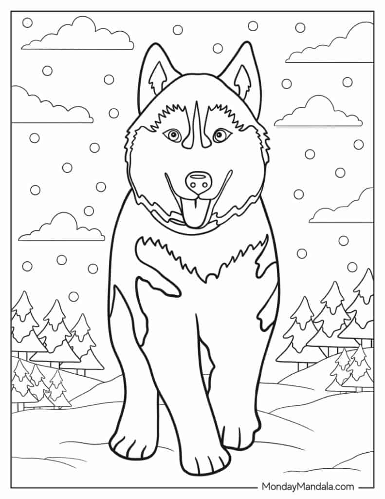 33 Husky Coloring Pages Free PDF Printables 33 Husky Coloring Pages Free PDF Printables