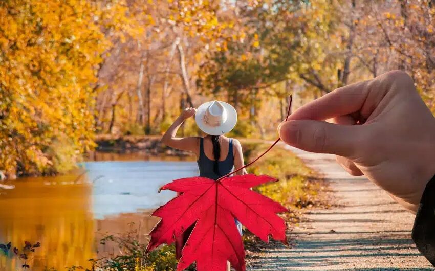 Ideas For Autumn Pictures