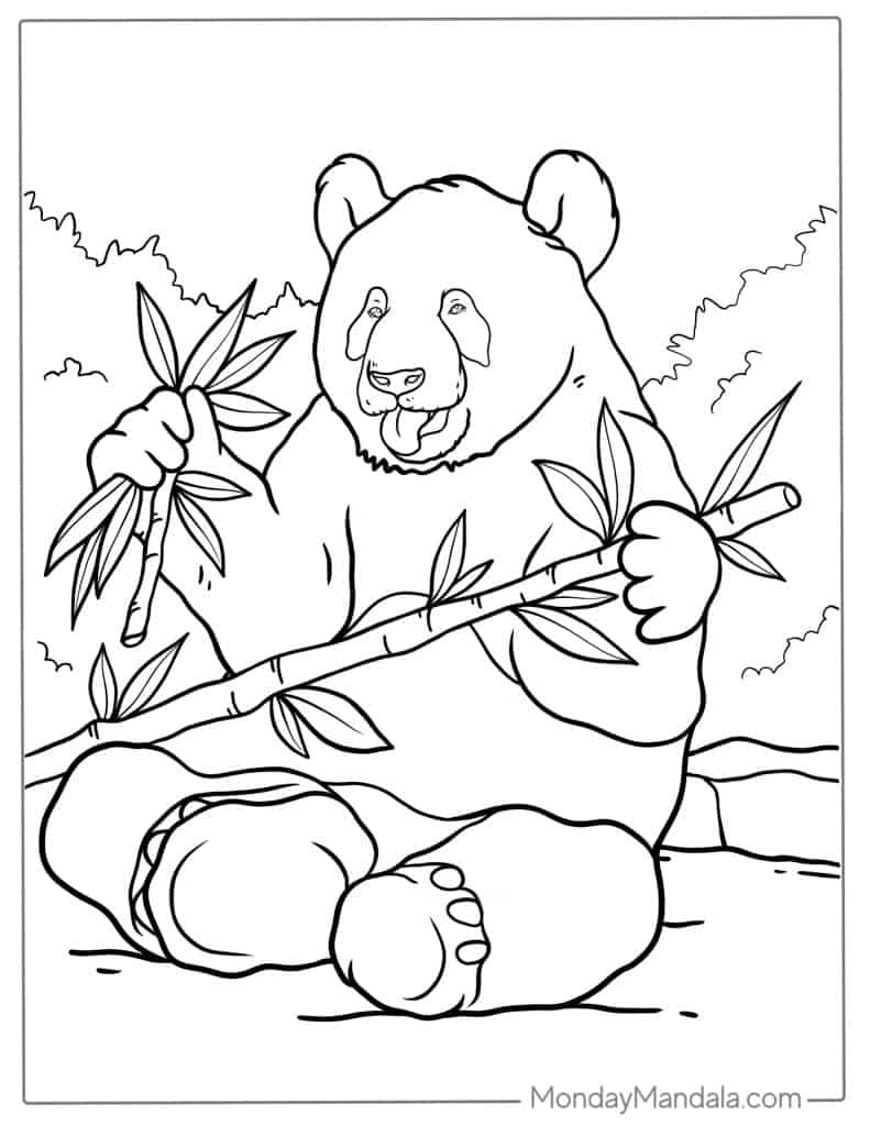coloring page of a panda bear coloring page of a panda bear