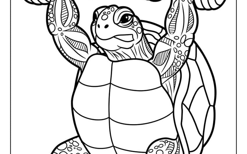 Colouring Pages Of Turtles