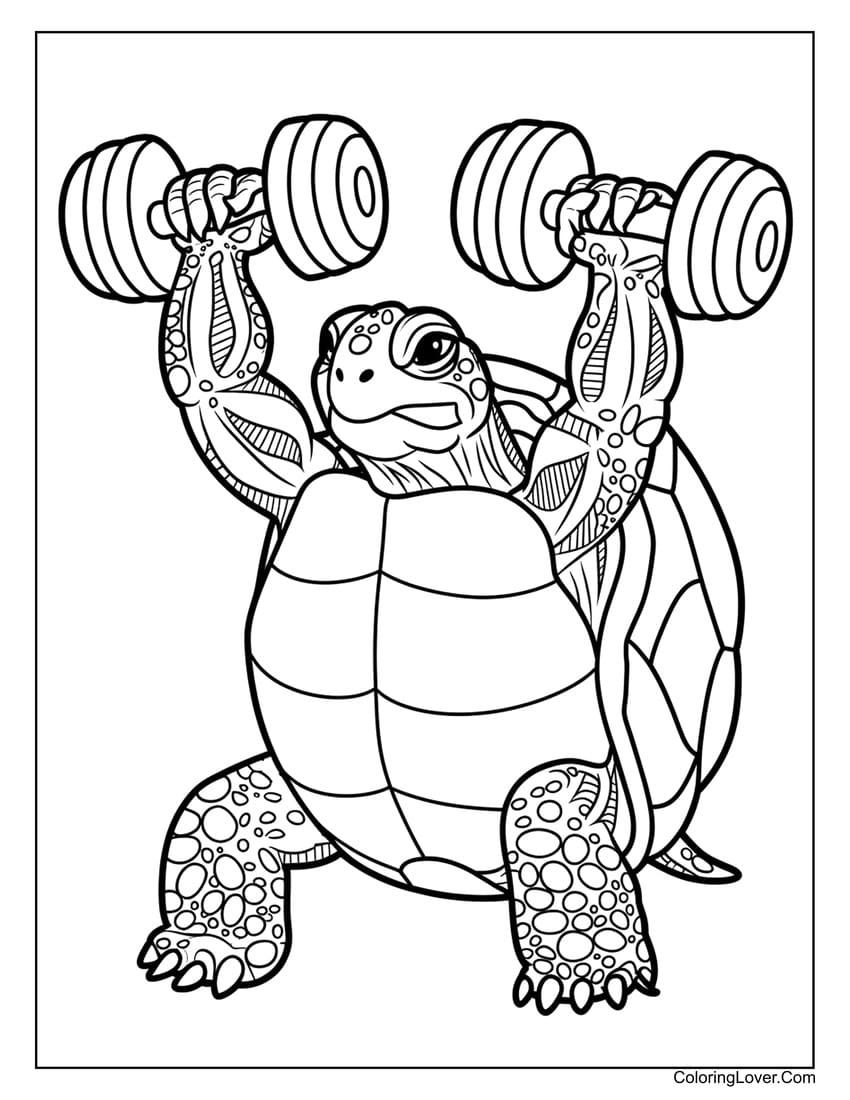 42 Turtle Coloring Pages Free Printables For All Ages