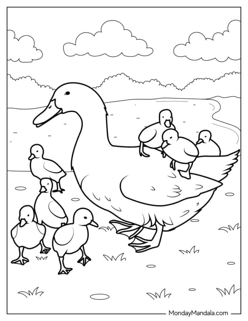 duck and duckling coloring pages duck and duckling coloring pages