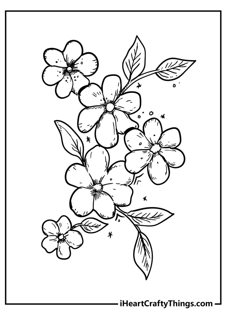 flower printable colouring pages flower printable colouring pages