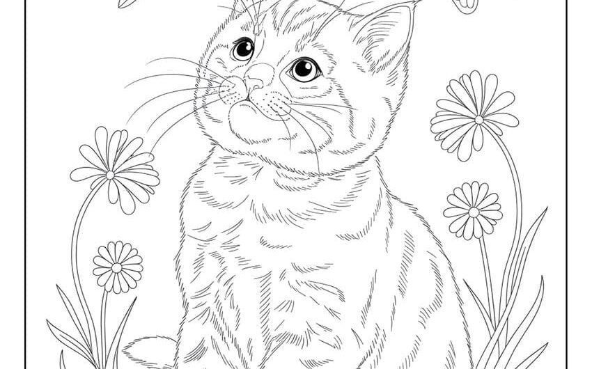 Printable Cat Colouring Pages