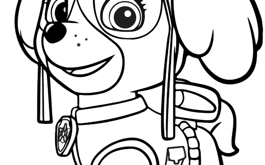 Paw Patrol Coloring Pages Skye