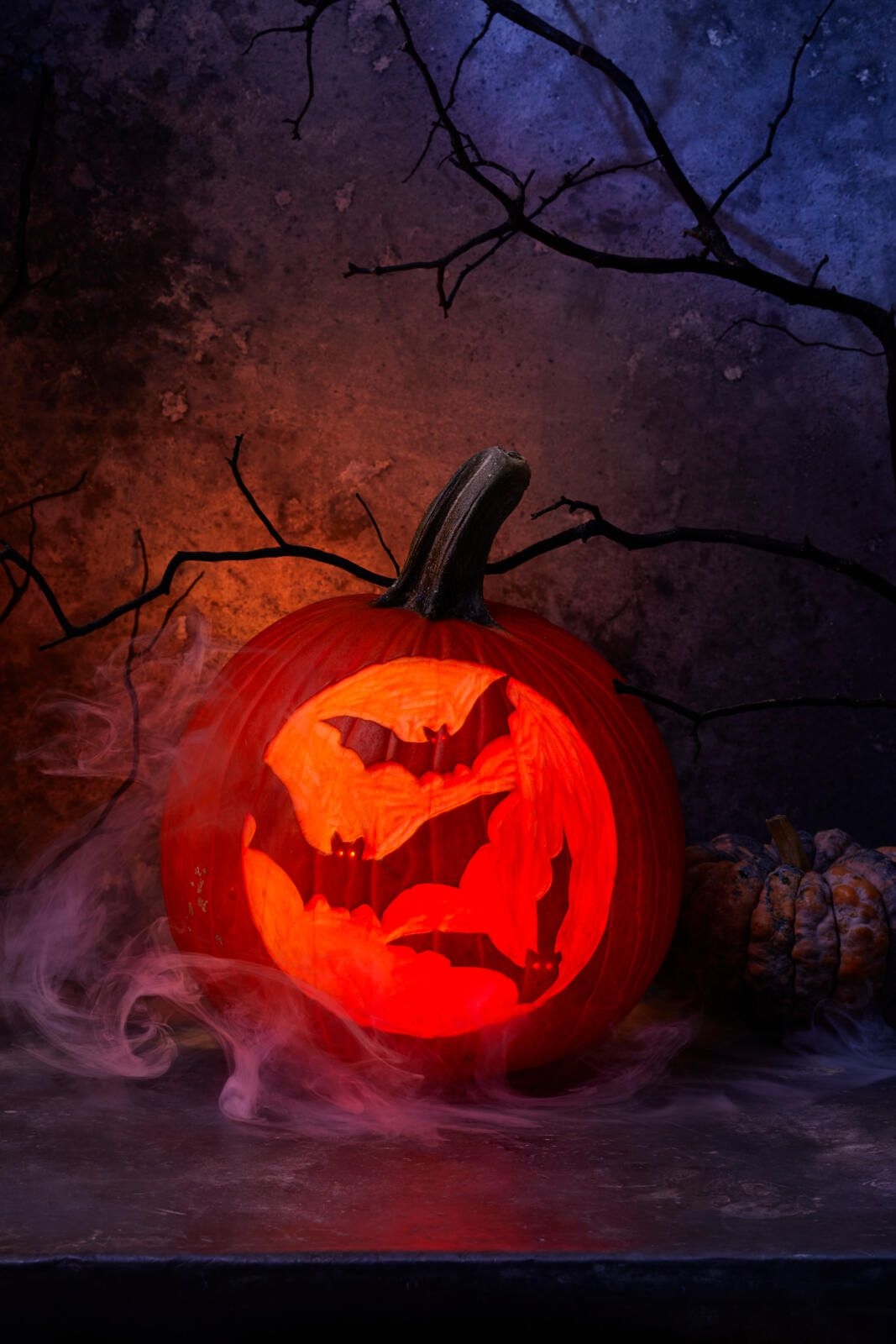 84 Easy Pumpkin Carving Ideas And Designs For Halloween 84 Easy Pumpkin Carving Ideas And Designs For Halloween