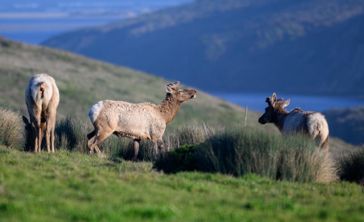 place of refuge crossword clue place of refuge crossword clue
