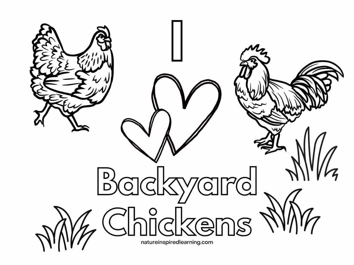 Adorable Chicken Coloring Pages Nature Inspired Learning Adorable Chicken Coloring Pages Nature Inspired Learning