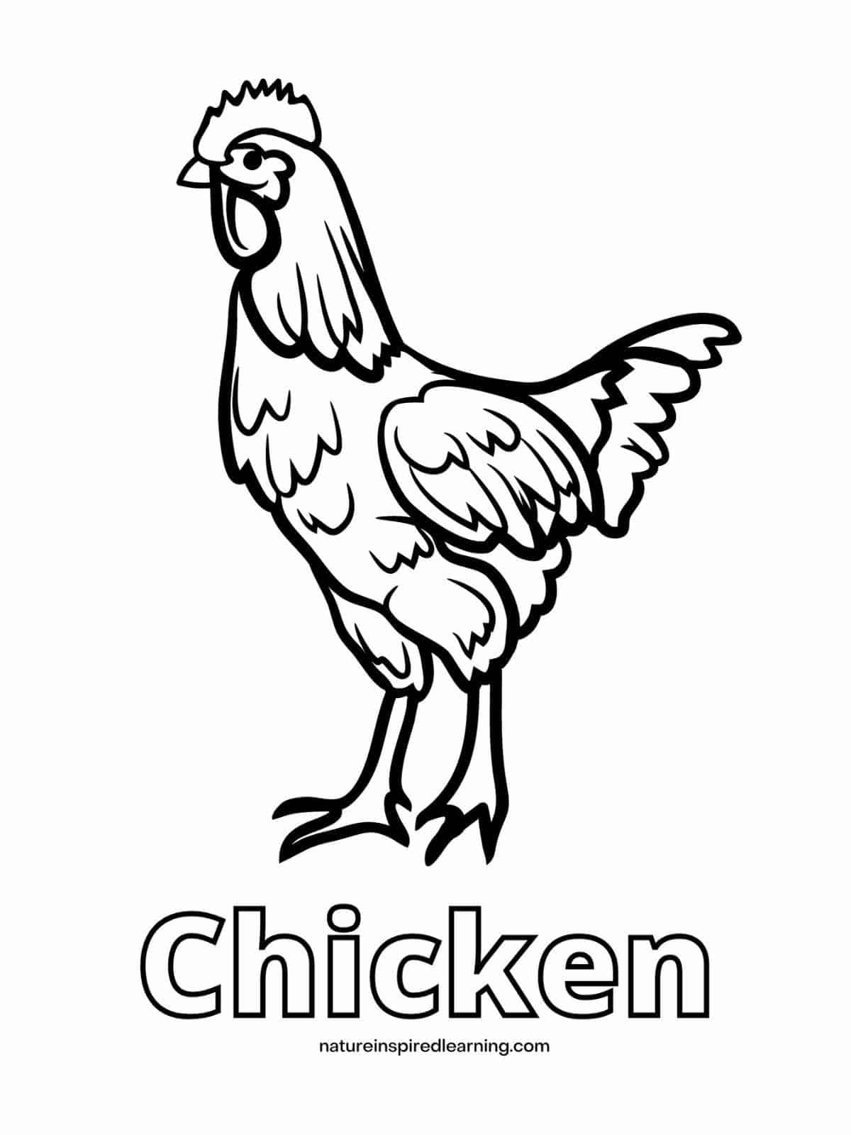 Adorable Chicken Coloring Pages Nature Inspired Learning Adorable Chicken Coloring Pages Nature Inspired Learning