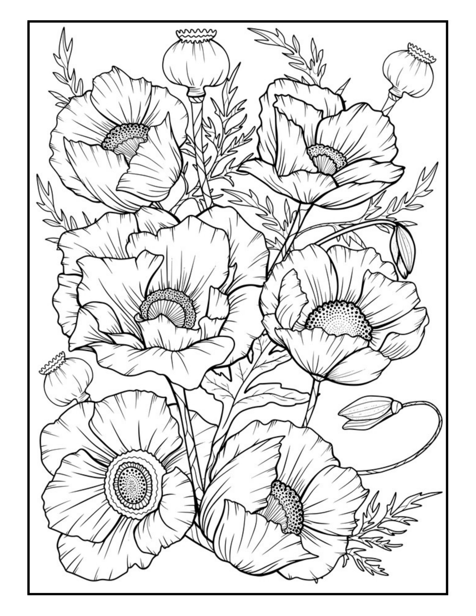Adult Coloring Pages Flowers Creativitycolor Adult Coloring Pages Flowers Creativitycolor