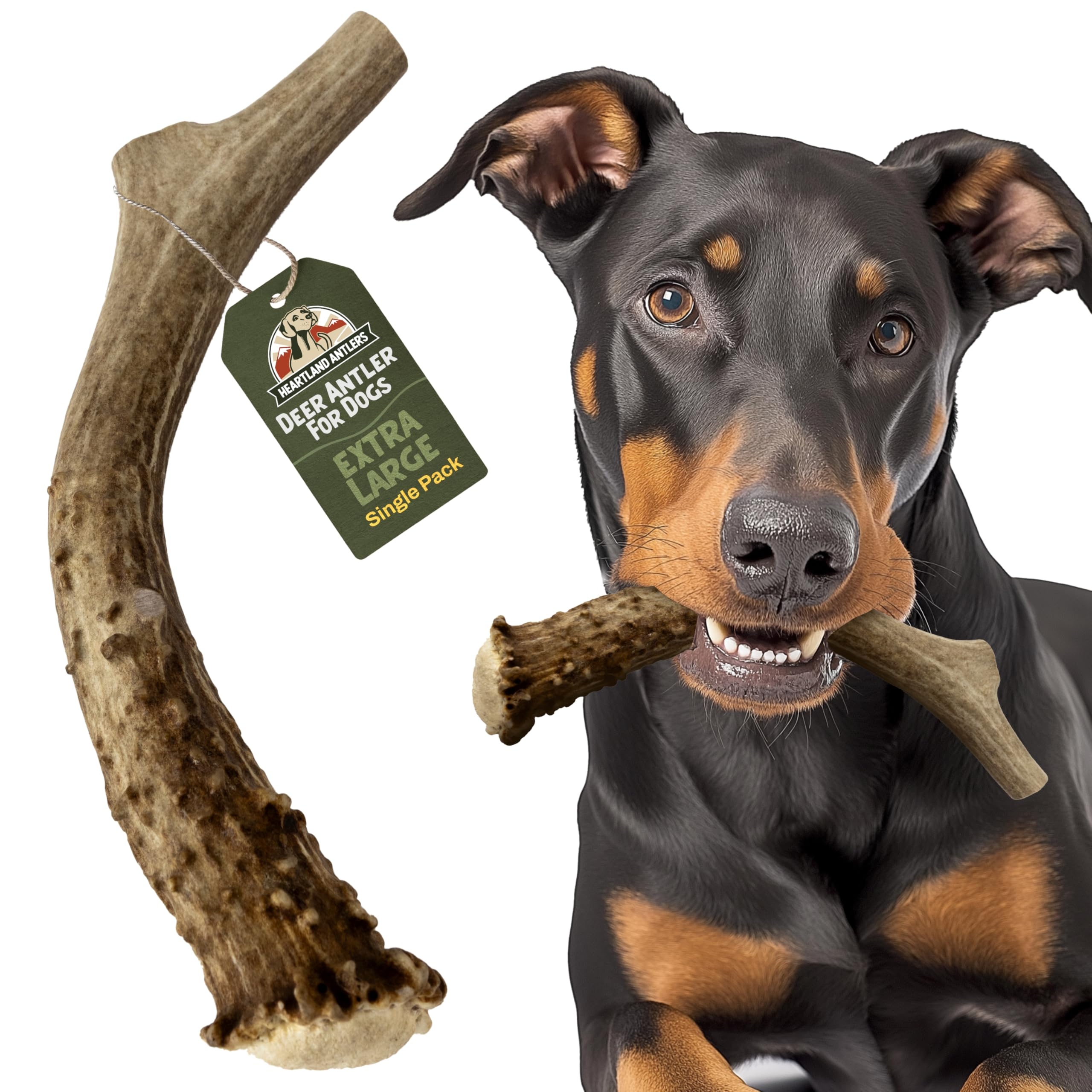 Amazon Heartland Deer Antlers For Dogs Daily Dental Care Chews For Aggressive Chewers To Reduce Plaque Prevent Destructive Behavior X Large 8 10 1 Pack Grade A USA Made Pet Supplies Amazon Heartland Deer Antlers For Dogs Daily Dental Care Chews For Aggressive Chewers To Reduce Plaque Prevent Destructive Behavior X Large 8 10 1 Pack Grade A USA Made Pet Supplies