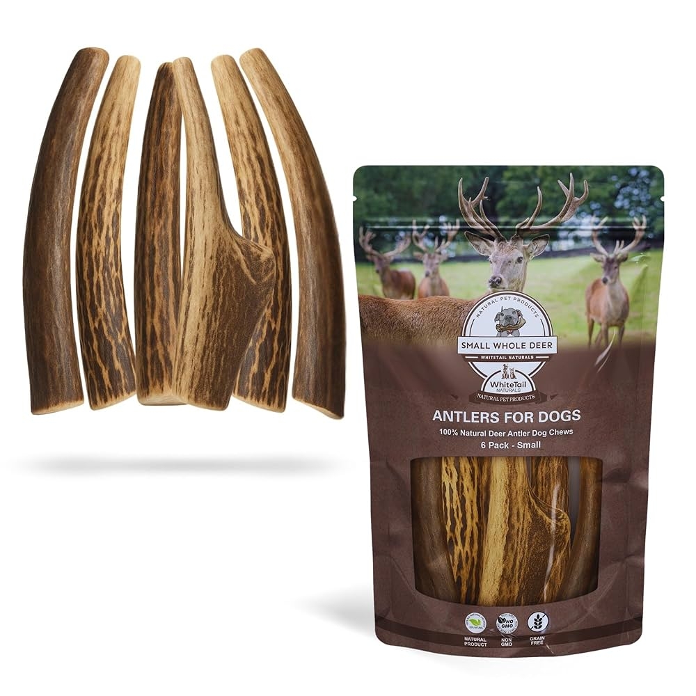 Amazon WhiteTail Naturals Antlers For Small Dogs 6 Pack Deer Antler Dog Chew Bones For Small Aggressive Chewers Long Lasting Horn Chew Toys Naturally Shed Pet Supplies Amazon WhiteTail Naturals Antlers For Small Dogs 6 Pack Deer Antler Dog Chew Bones For Small Aggressive Chewers Long Lasting Horn Chew Toys Naturally Shed Pet Supplies