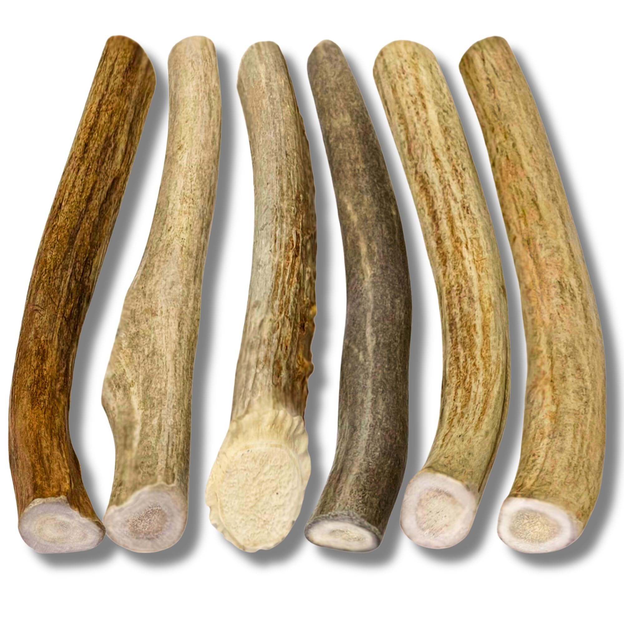 Amazon WhiteTail Naturals Antlers For Small Dogs 6 Pack Deer Antler Dog Chew Bones For Small Aggressive Chewers Long Lasting Horn Chew Toys Naturally Shed Pet Supplies