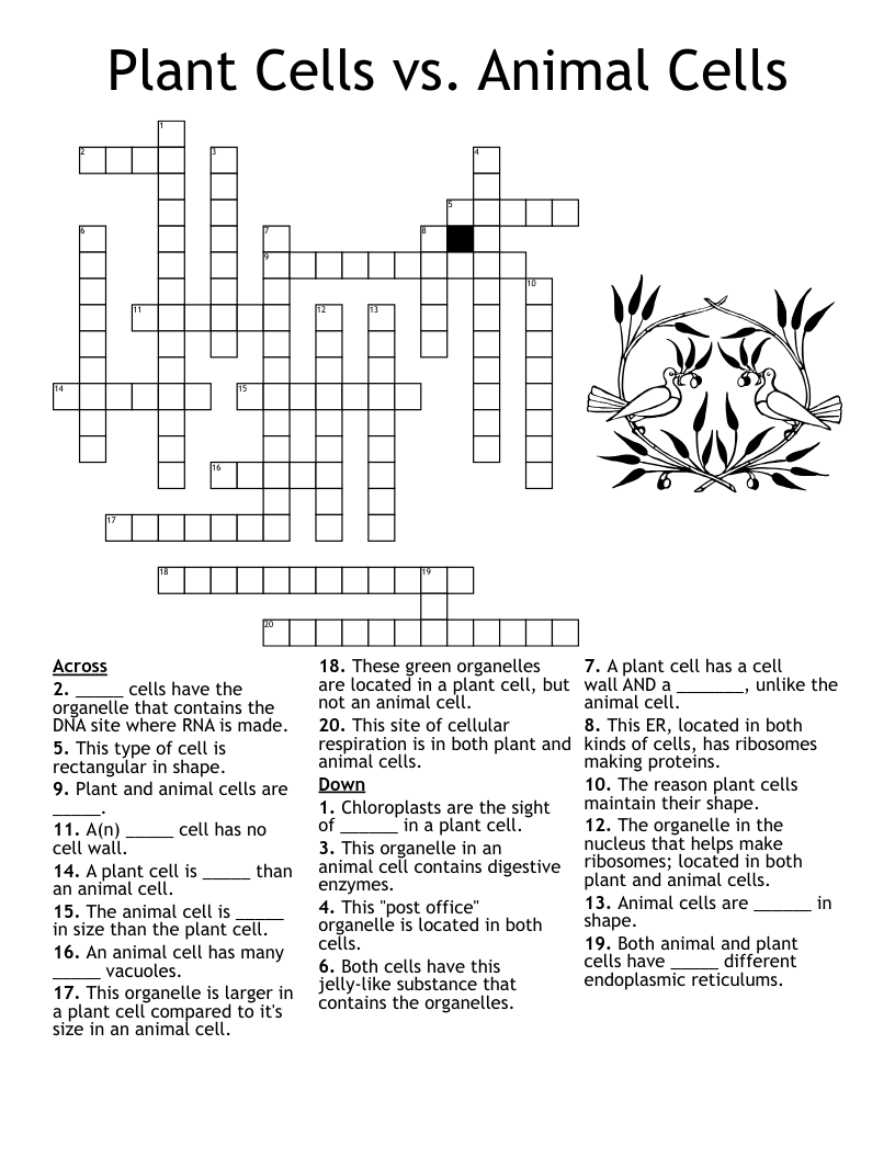 Animal Behavior Terms Crossword WordMint