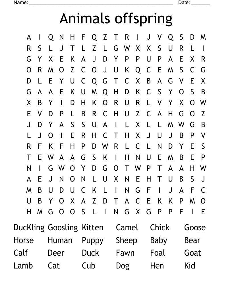 Animals Offspring Word Search WordMint Animals Offspring Word Search WordMint