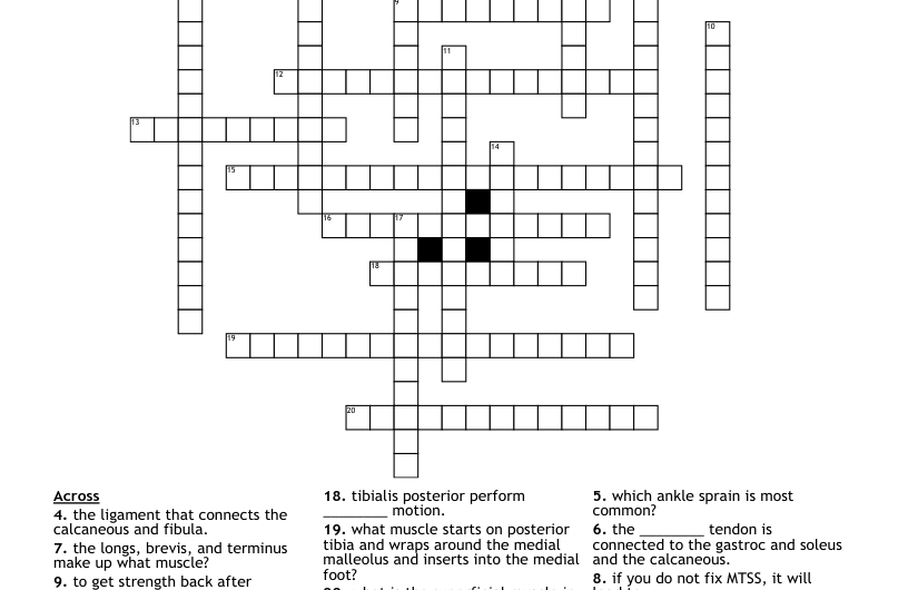 Ankle Bones Crossword Clue