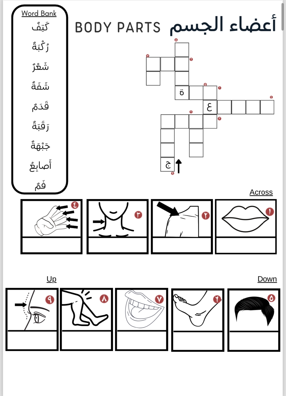 Arabic Crossword Puzzle Arabic Storybooks English Translation For Your Kids Arabic Crossword Puzzle Arabic Storybooks English Translation For Your Kids