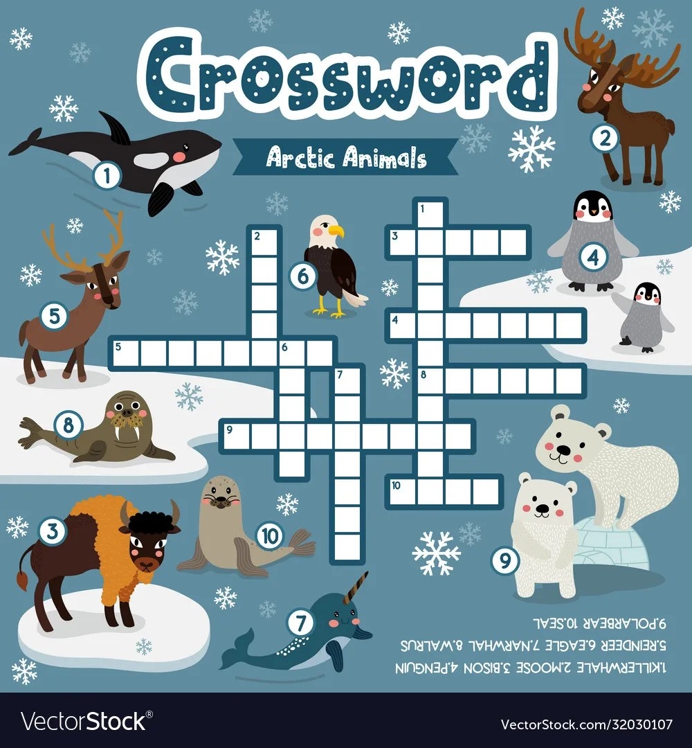 Arctic Bird Crossword Clue Arctic Bird Crossword Clue