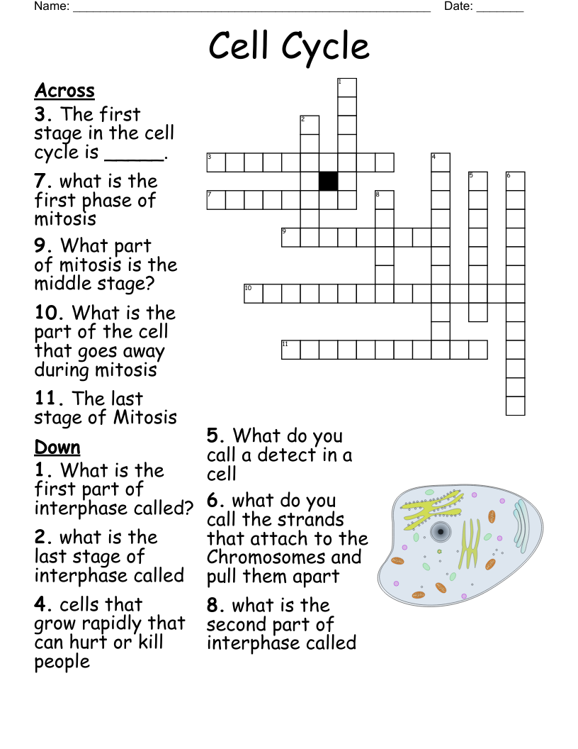 Attachment Crossword WordMint Attachment Crossword WordMint