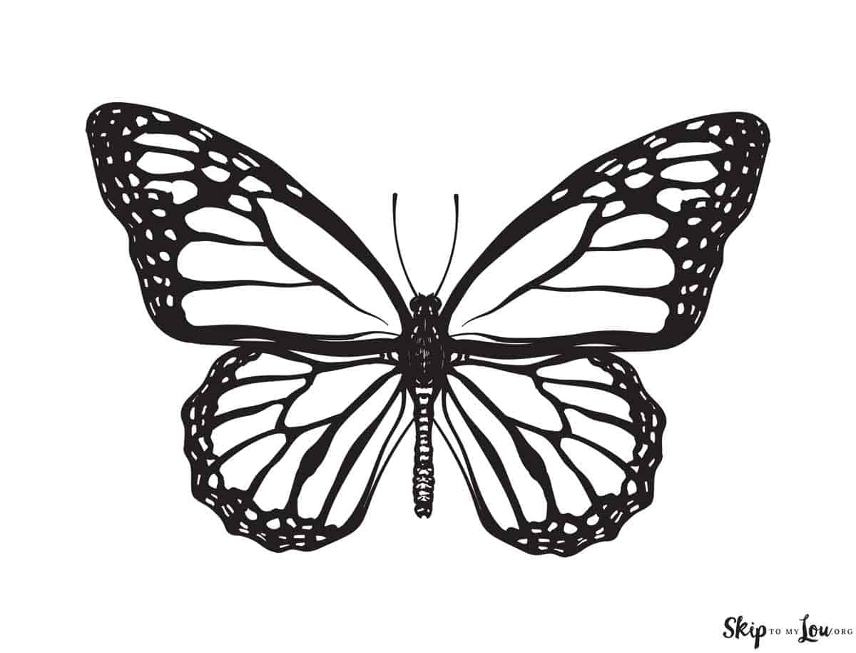 butterfly coloring pages printable butterfly coloring pages printable