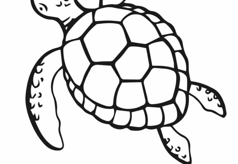 Sea Turtle Color Page