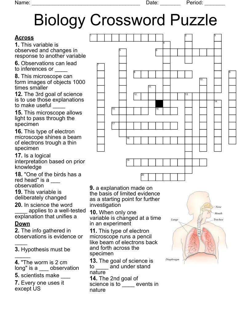 Biology Crossword Puzzle WordMint Biology Crossword Puzzle WordMint
