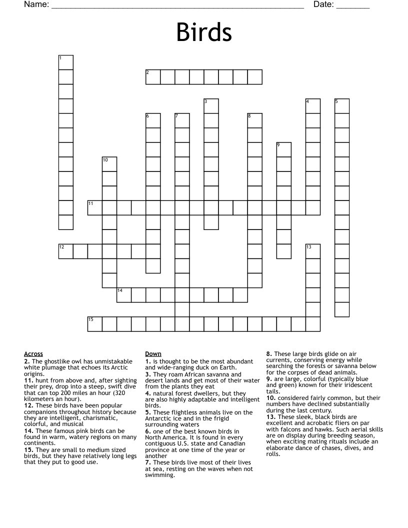 Birds Crossword WordMint Birds Crossword WordMint