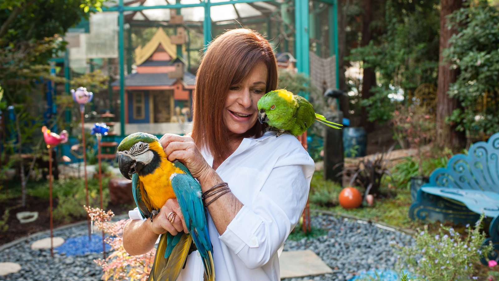 small songbird crossword clue small songbird crossword clue