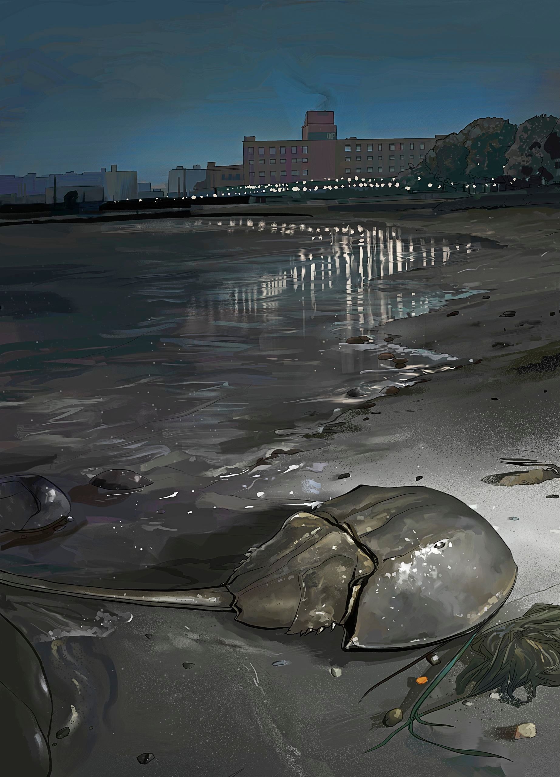 Blue Bloods The New Yorker Blue Bloods The New Yorker