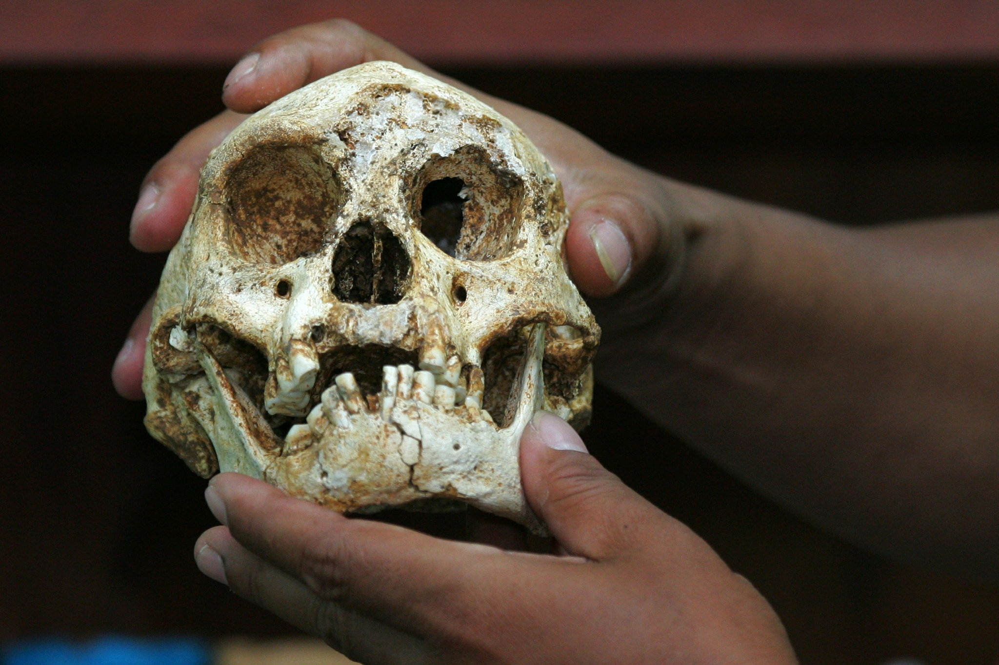 indonesian island crossword clue indonesian island crossword clue