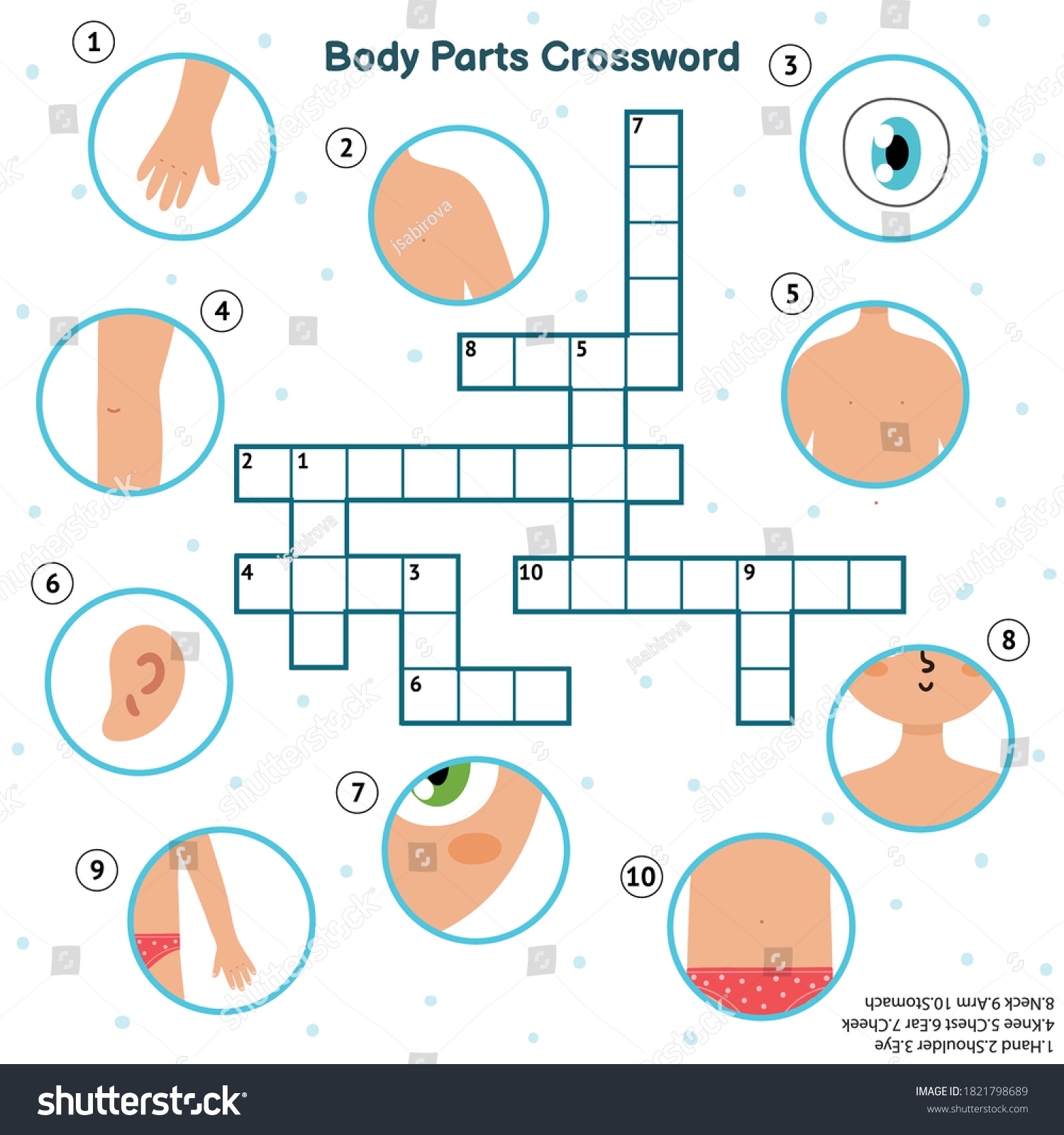 Body Parts Crossword Hand Eye Shoulder Stock Vector Royalty Free 1821798689 Shutterstock Body Parts Crossword Hand Eye Shoulder Stock Vector Royalty Free 1821798689 Shutterstock