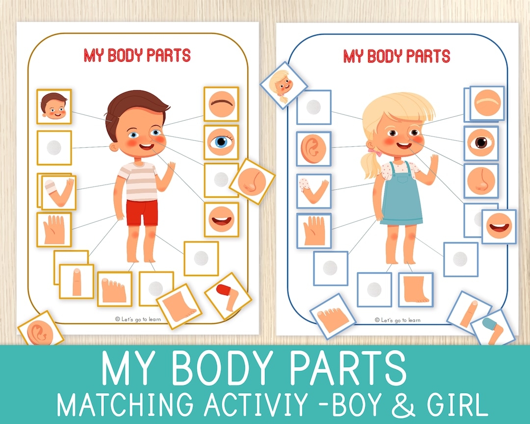 Body Parts Matching Activity Human Body Game Toddler Preschool Worksheets For Kids Busy Book Pages Homeschool Educational Game Etsy Body Parts Matching Activity Human Body Game Toddler Preschool Worksheets For Kids Busy Book Pages Homeschool Educational Game Etsy