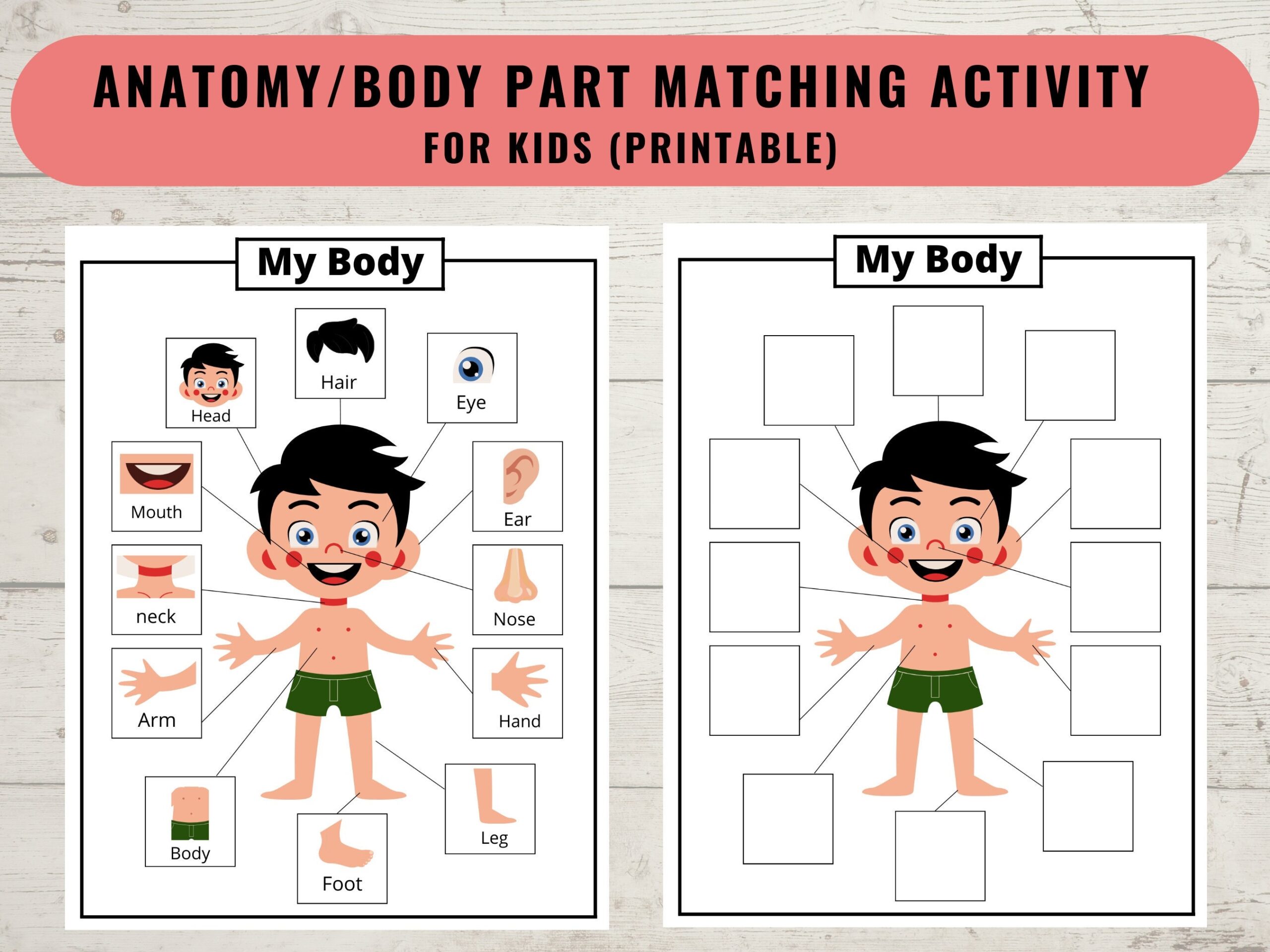 body parts worksheets for preschoolers body parts worksheets for preschoolers