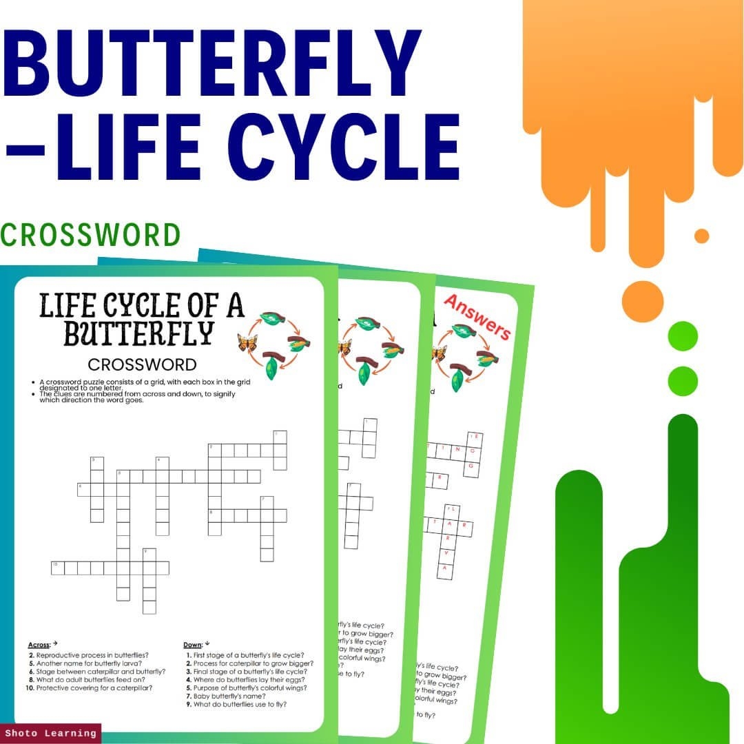 Butterfly Life Cycle Crossword Puzzle Fun Educational Butterfly Life Cycle Crossword Puzzle Fun Educational