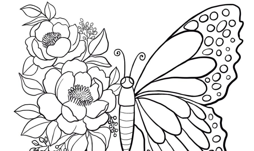 Butterfly Printable Coloring Pages