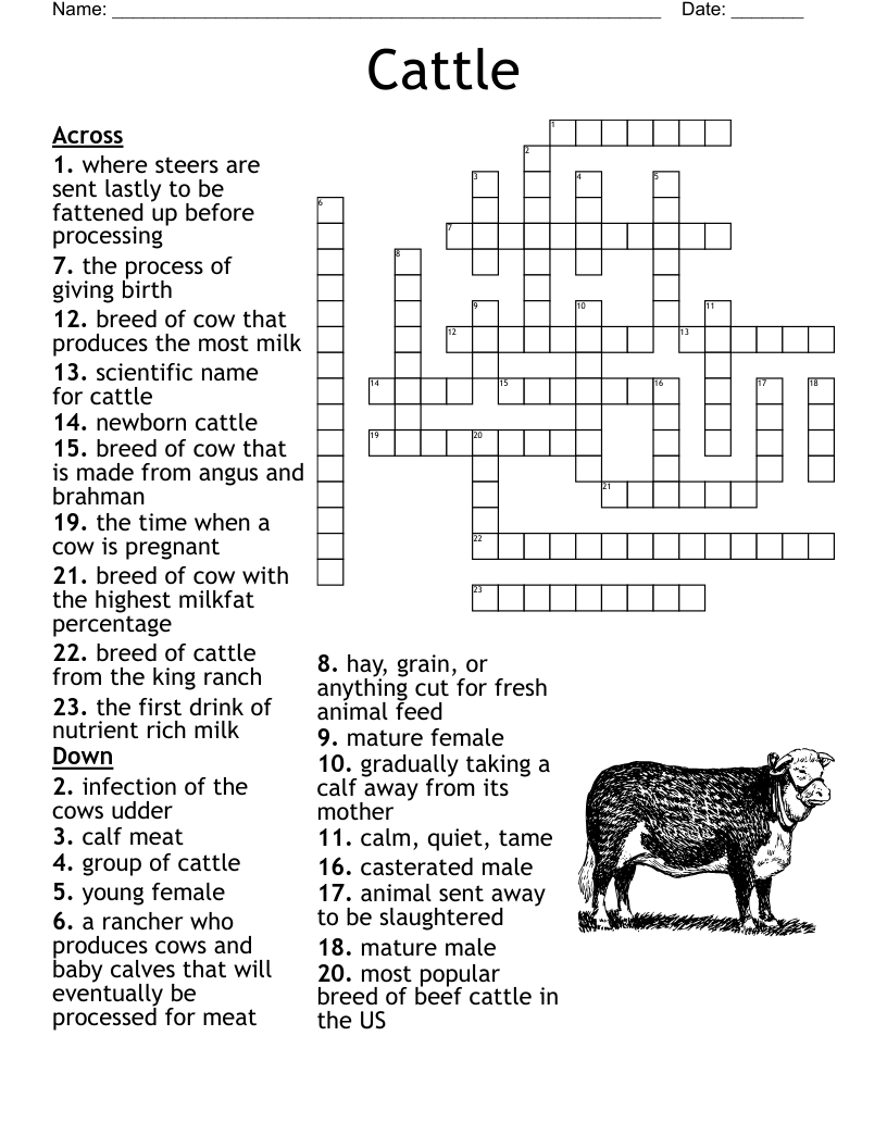 Cattle Crossword WordMint Cattle Crossword WordMint
