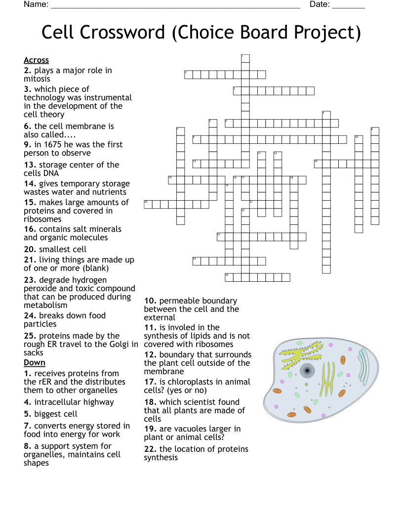 Cell Crossword Choice Board Project WordMint Cell Crossword Choice Board Project WordMint
