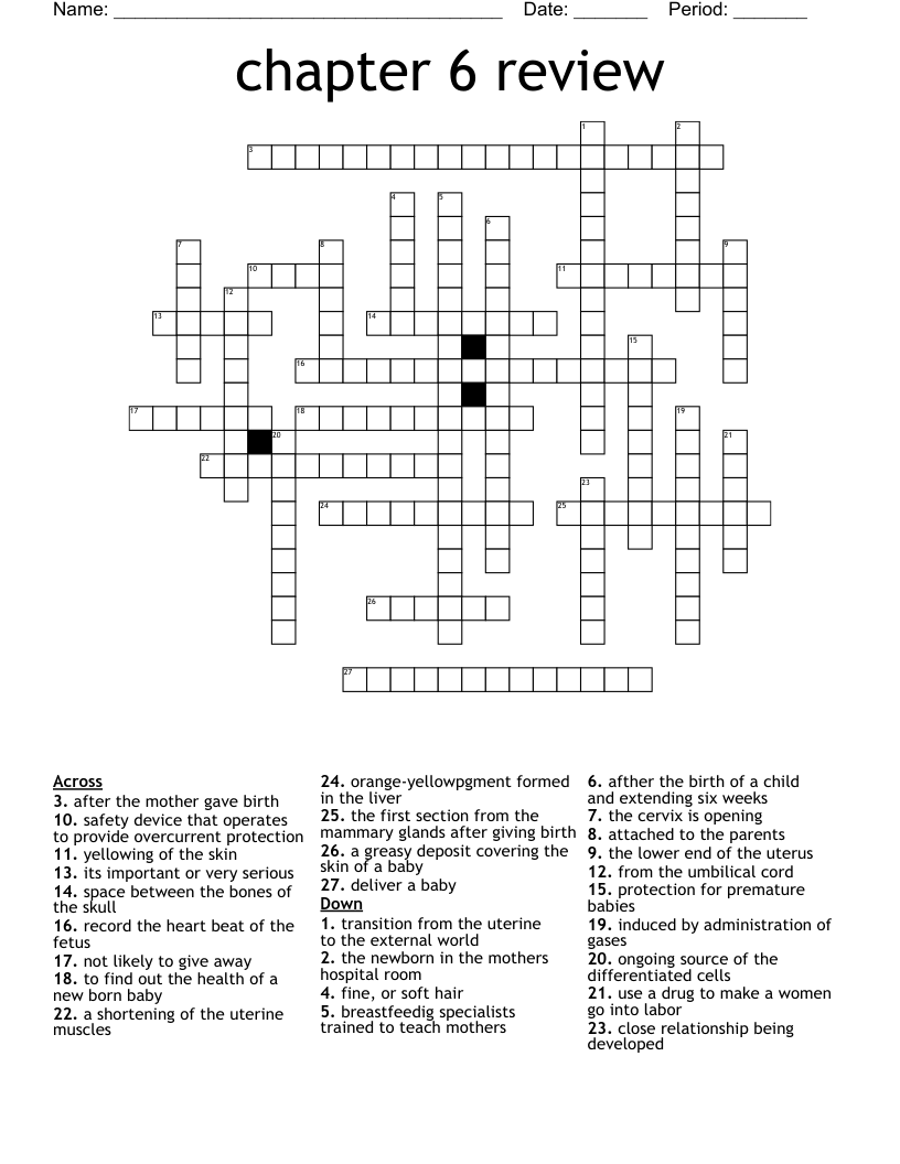 Chapter 6 Review Crossword WordMint