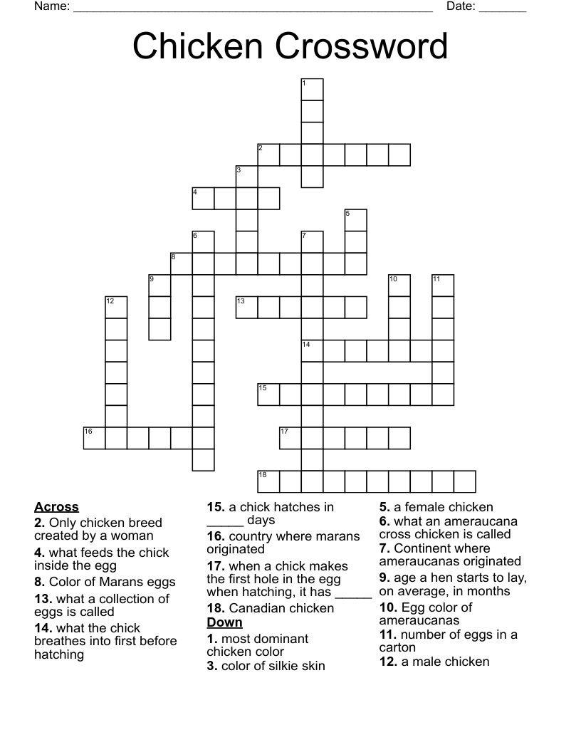 Chicken Crossword WordMint Chicken Crossword WordMint