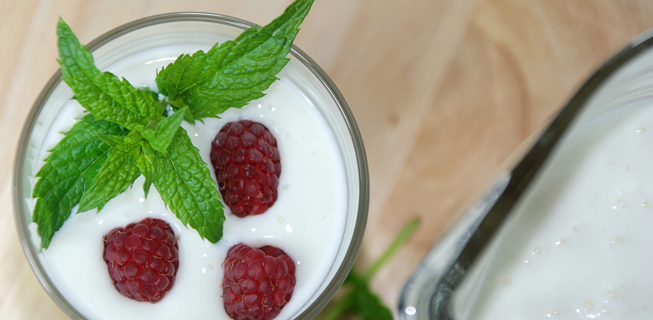 Cold Yogurt Drink Crossword Clue Cold Yogurt Drink Crossword Clue