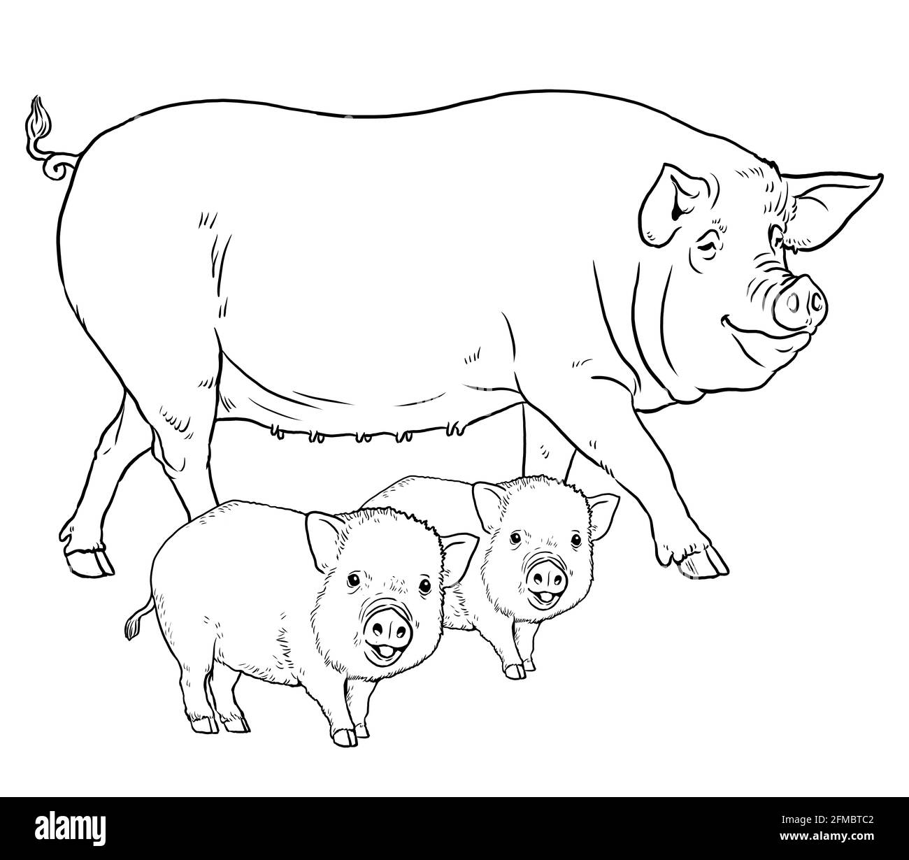 Coloring Page With The Animals Pig With Piglets For Coloring Digital Drawing Stock Photo Alamy Coloring Page With The Animals Pig With Piglets For Coloring Digital Drawing Stock Photo Alamy
